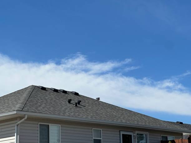 Best Tile Roofing Installation  in Remsen, IA